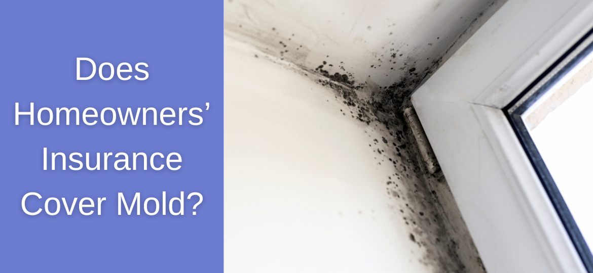 Does Homeowners’ Insurance Cover Mold?