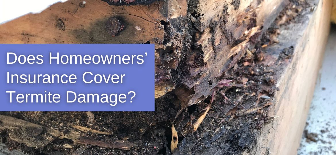 Does Homeowners’ Insurance Cover Termite Damage