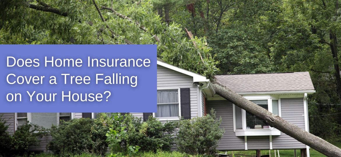 Does Home Insurance Cover a Tree Falling on Your House?